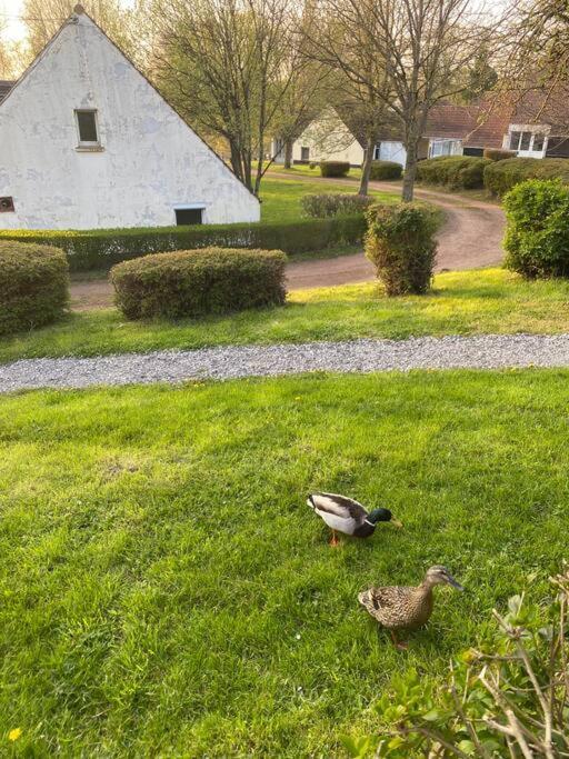 Le Nid Du Cygne Apartamento Houlle Exterior foto